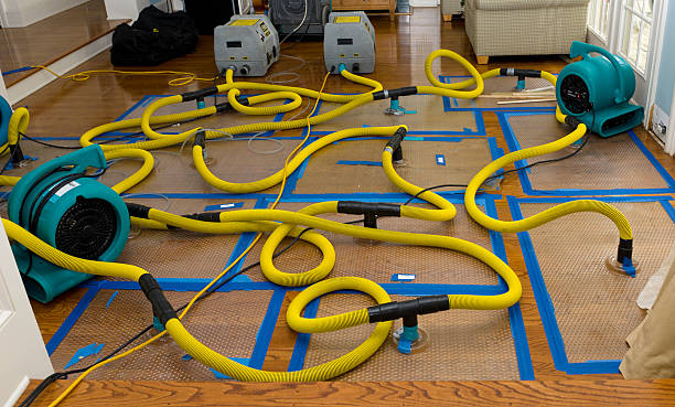 Professional Crawl Space Water Removal technician working in Brownsboro, TX